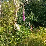 Riverside Retreat Appartamento Galway